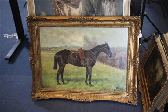 George Paice (1854-1925) Atherstone - Queen Victorias favourite hack, 19 x 27in.